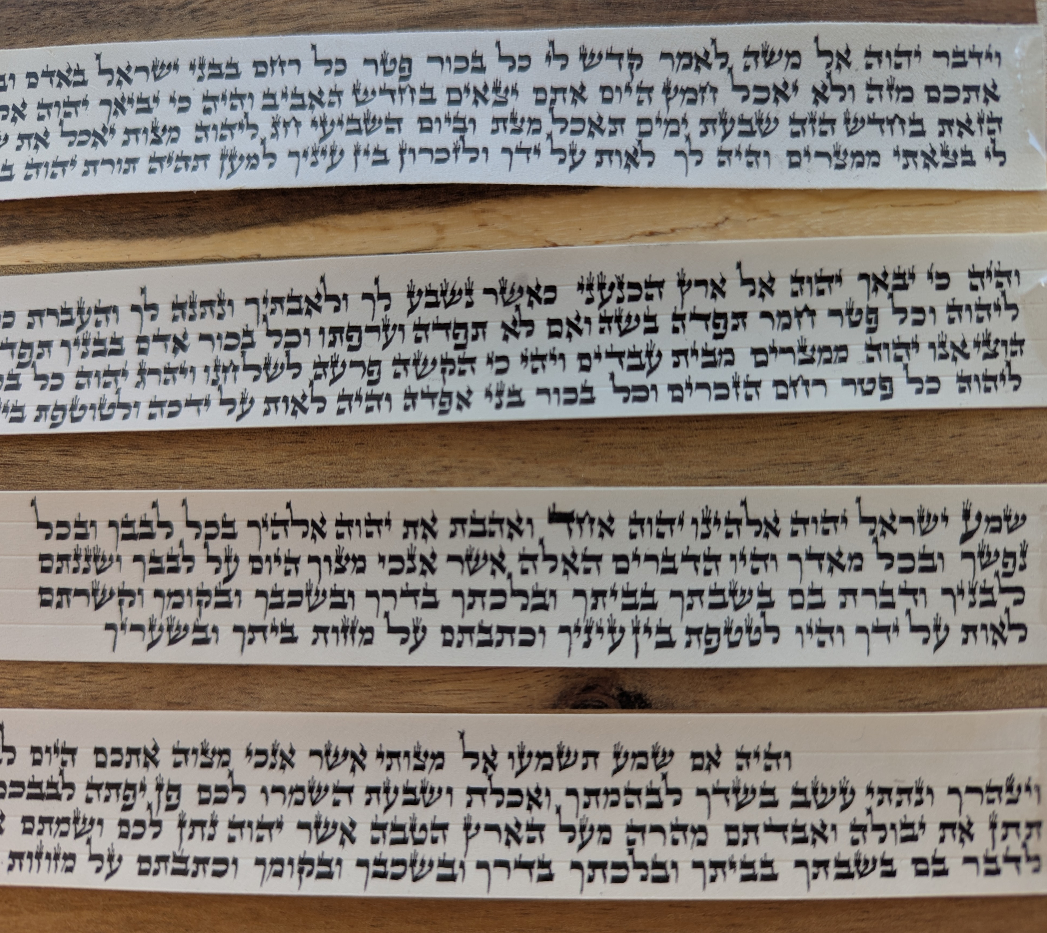 פרשיות תפילין כתב בית יוסף