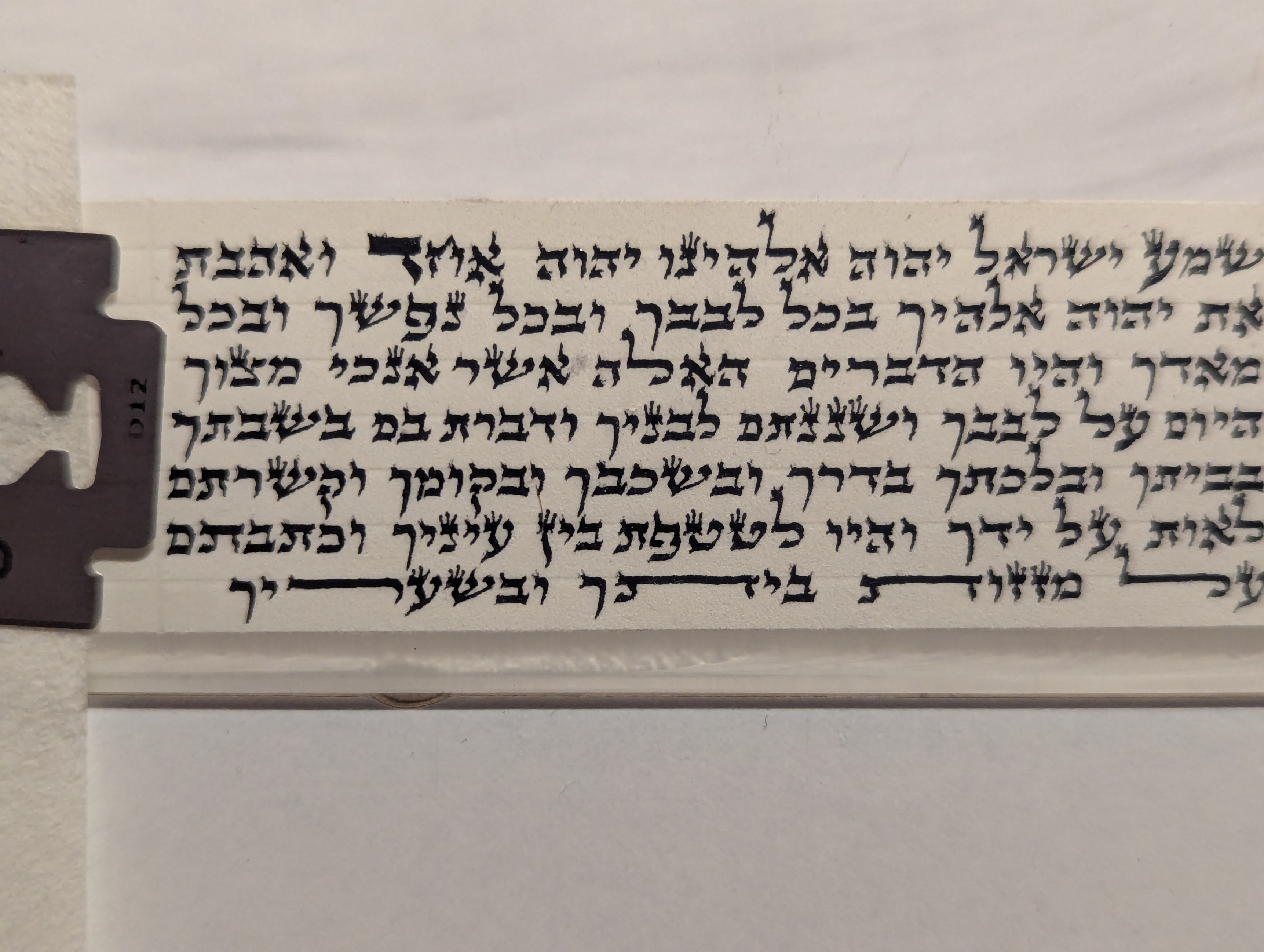פרשיות פיצפונים האריזל
